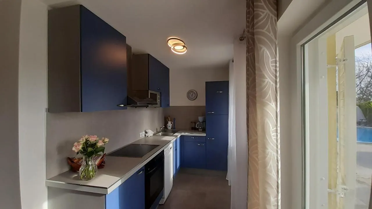 Apartment Villa Elke Maria With Overflow Pool And Hydromassage Novigrad  Croatia